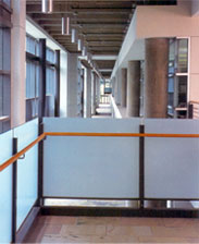 Decorative Window Tinting